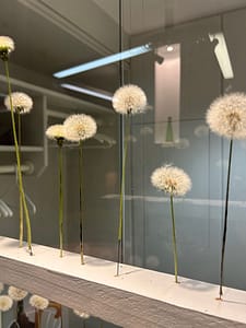 IMG_1028